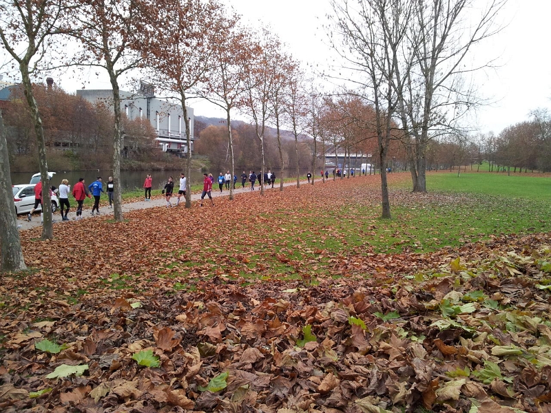 013.jpg - User comments