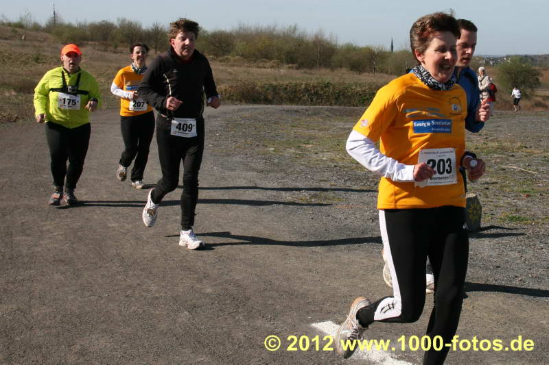 Gondwana-Haldenlauf-2012-0069.JPG
