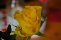 IMGP1114