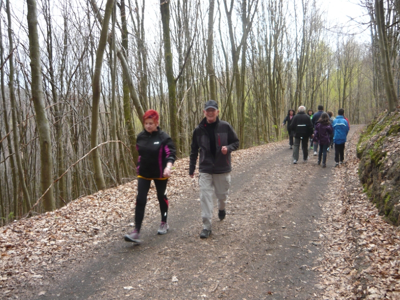 P1020466.JPG