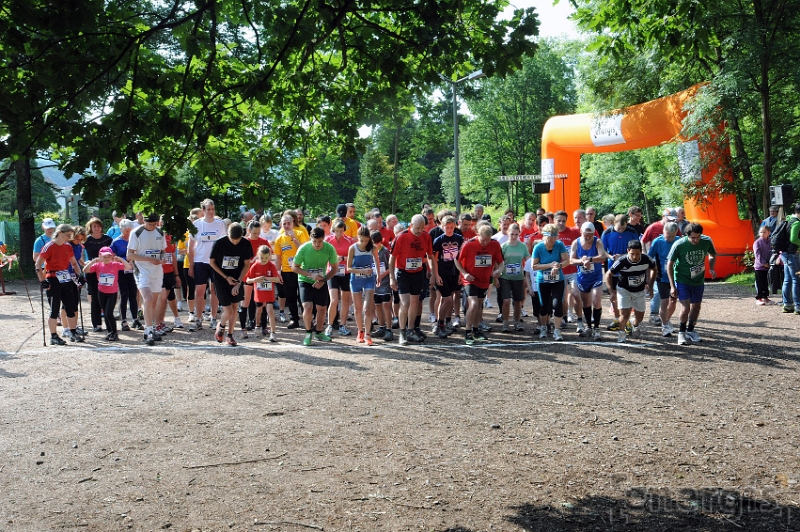 Saarkohlewaldlauf-20126.jpg