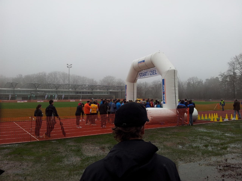 008.jpg - User comments