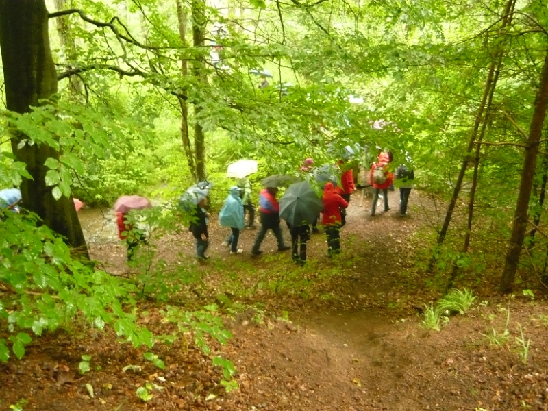 P1020544.JPG