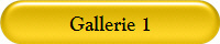 Gallerie 1