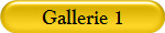 Gallerie 1