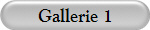 Gallerie 1
