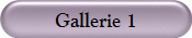 Gallerie 1