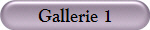Gallerie 1