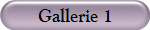 Gallerie 1