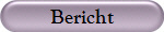 Bericht