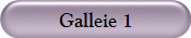Galleie 1 