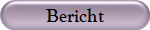 Bericht